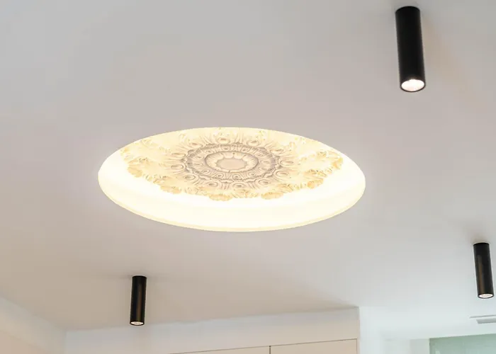 Rosoliel Villa Cannes